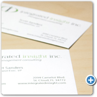 Integrated Insight Inc:
                    Business Cards + Sheet